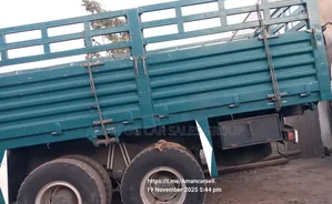 Cacion 2023 Model. 371