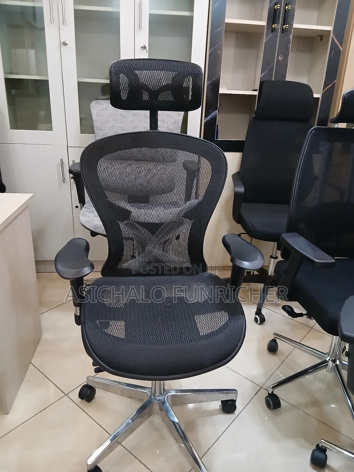 Erigonomice Chairs Mesh