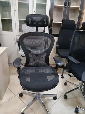 Erigonomice Chairs Mesh