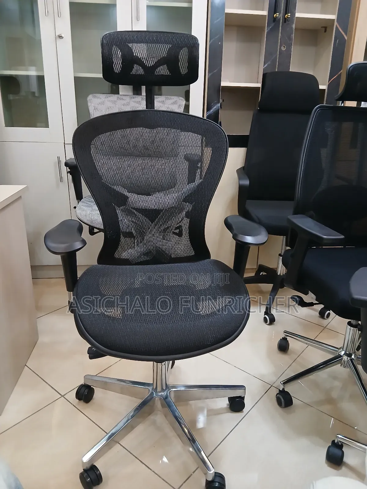 Erigonomice Chairs Mesh