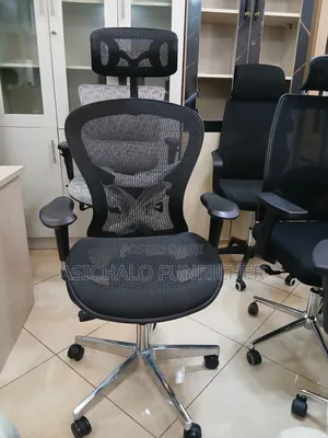 Erigonomice Chairs Mesh