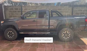 Toyota Tacoma 2019 Gray