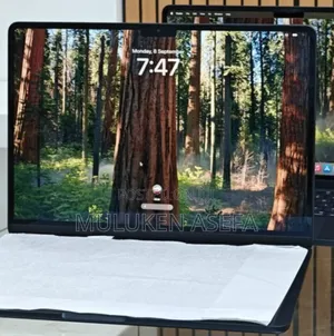 New Apple MacBook Air 2025 M4 13-Inch 16GB Apple M4 Pro SSD 256GB