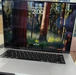 New Laptop Apple MacBook Pro M1 64GB Apple M1 Pro SSD 1T