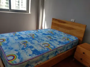 Furnished 3bdrm Apartment in Bole for rent