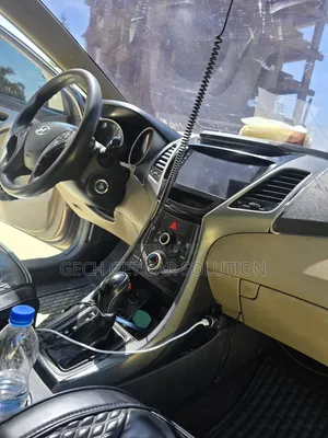 Photo - Hyundai Elantra 2015 Brown