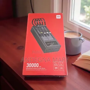 Mi 30000 Battery Solution Giant Now