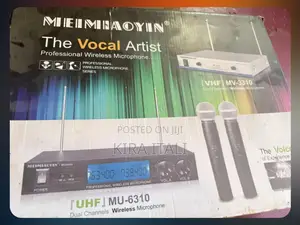 Professional Wirless Microphone