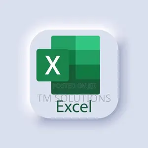 Photo - Microsoft Excel Lifetime