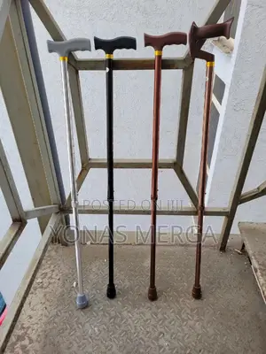 Photo - Our Professional Walking Stick Must Meet Your Needs.Best Choices