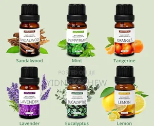 Photo - Aromatherapy Essential Oil Humdifier