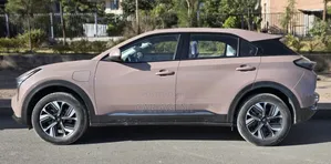 Hozon Neta U 2022 Pink