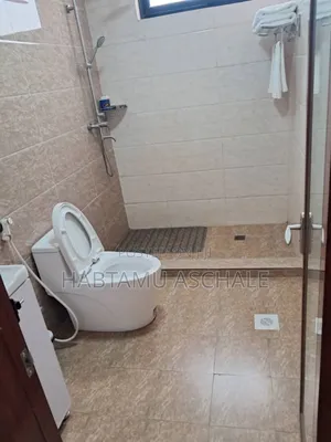 Furnished 1bdrm Apartment in Bole for rent