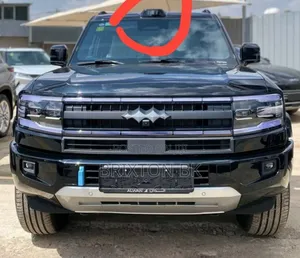 Photo - New BYD Leopard 5 2025 Black