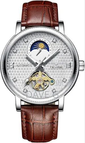 Tevise Luxury Automatic Men's Watch