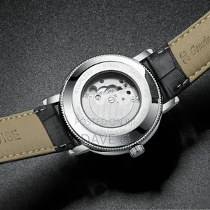 Tevise Luxury Automatic Men's Watch