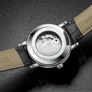 Tevise Luxury Automatic Men's Watch