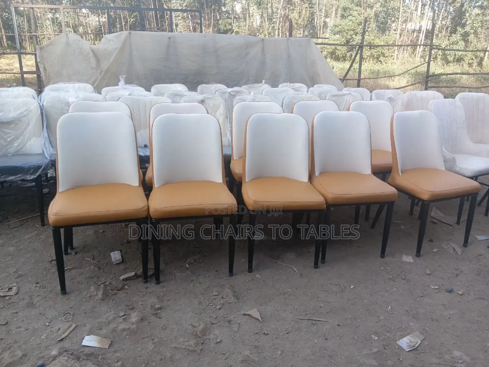 Modern Cafeteria Chairs