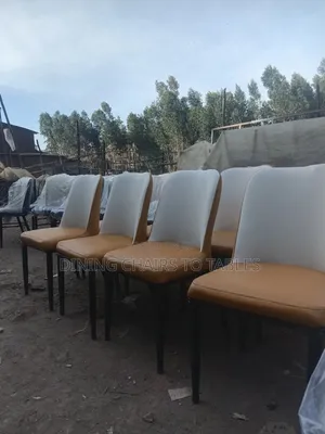 Modern Cafeteria Chairs