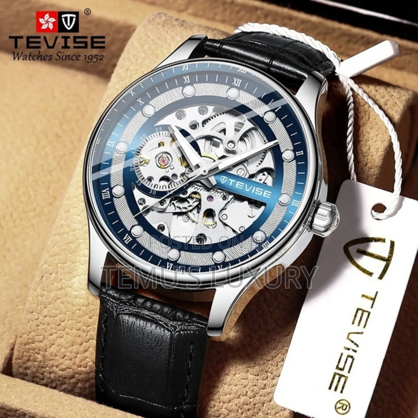 Tevise Automatic Mechanical Watch Men's Luxury Business Leather Strap