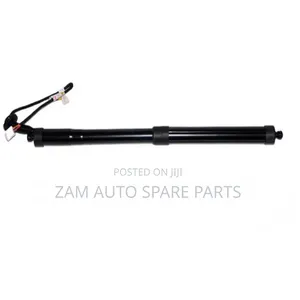 Photo - Electric Shock Absorber Rear Door