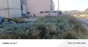 94 Kare Foundation at Kality Alem Babk