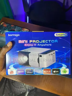 Mini Projector (Borrego)
