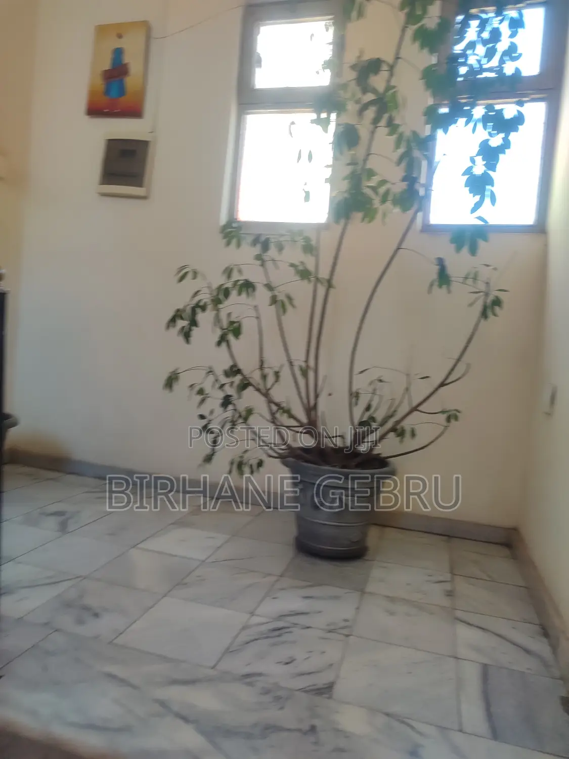 Furnished 1bdrm Apartment in Studio Apartiment, Bole for rent