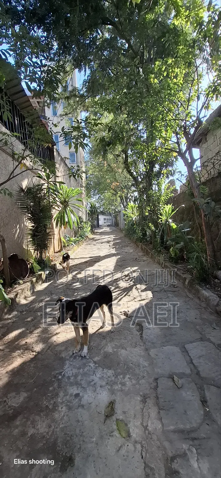 Furnished 6bdrm House in Addisababa, Nifas Silk-Lafto for rent