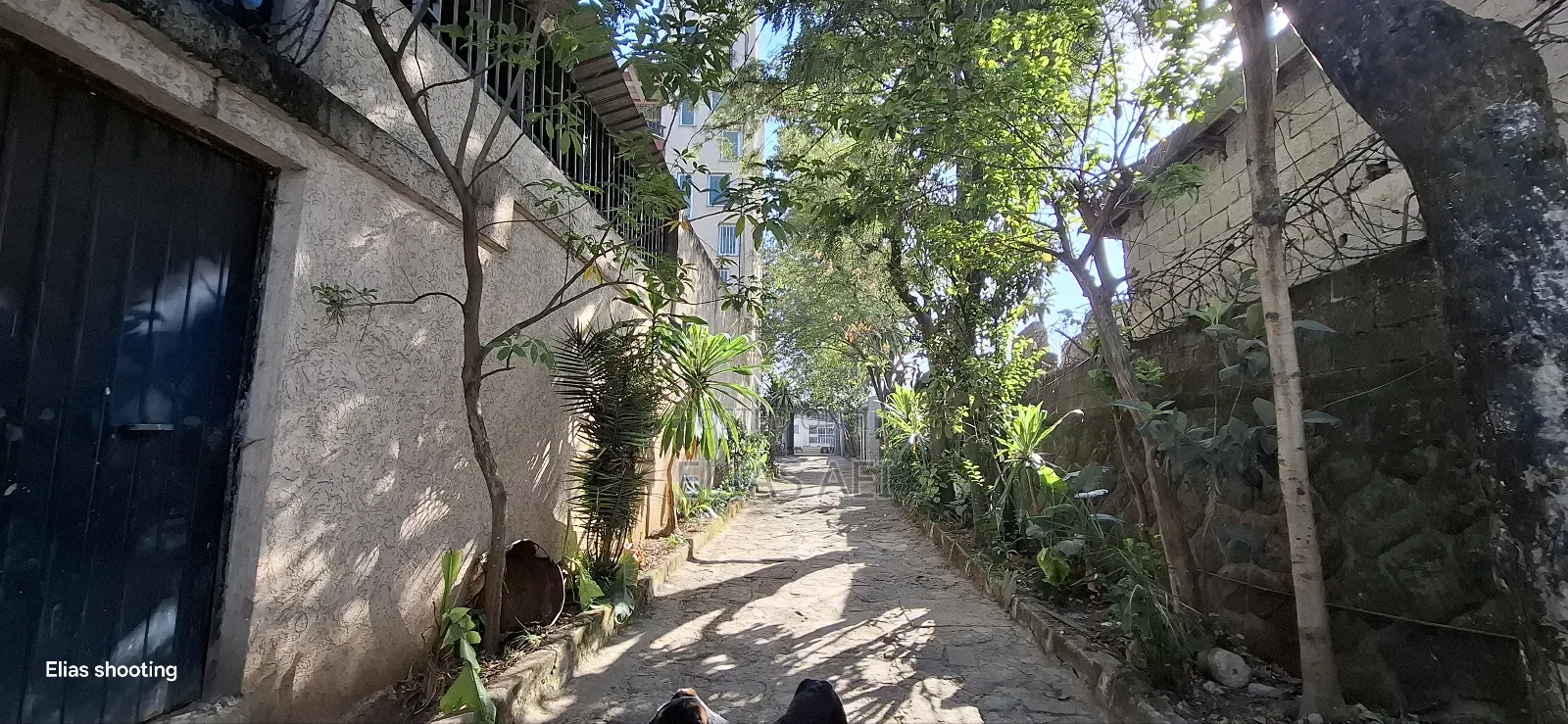 Furnished 6bdrm House in Addisababa, Nifas Silk-Lafto for rent