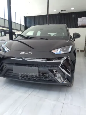 New BYD Seagull 2025 Black