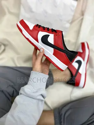 Photo - “Nba 75th Anniversary – Chicago Bulls” Nike Dunk Low Retro -Women’S