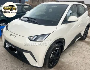 Photo - BYD Seagull 2024