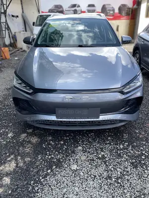 Photo - New BYD E2 2025 Gray