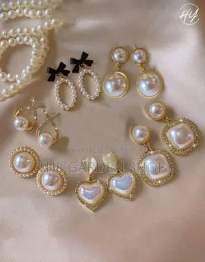 Photo - Elegant Stainless Earings