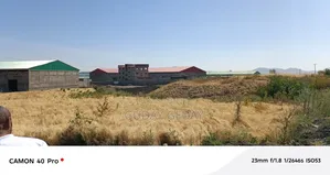 10000 Kare Plots of Land at Tuludimitu