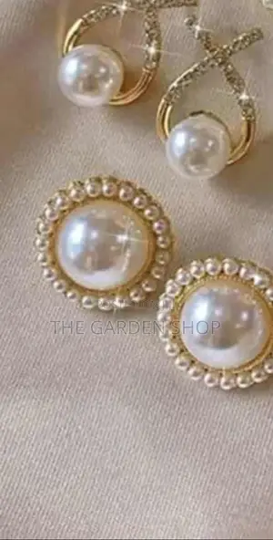 Elegant Stainless Earings