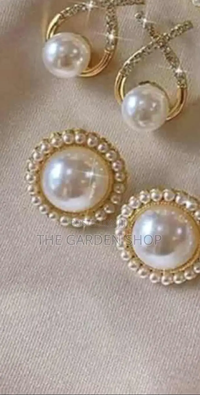 Elegant Stainless Earings