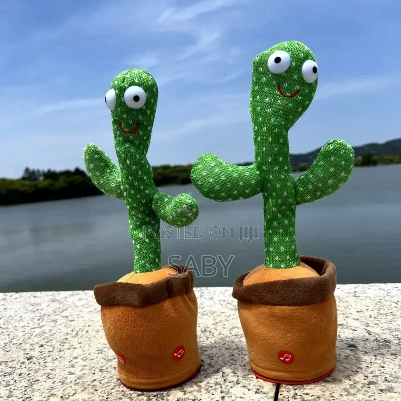 Cactus Magic Dancing