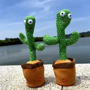 Photo - Cactus Magic Dancing