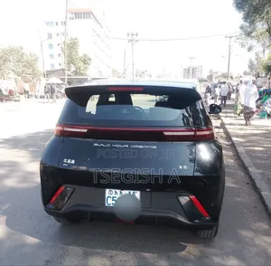 New BYD Seagull 2025 Black