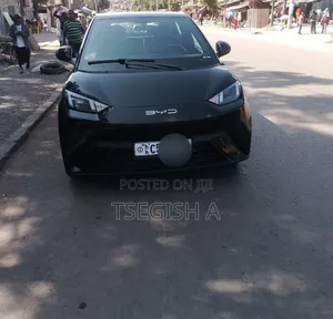 New BYD Seagull 2025 Black