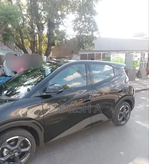 New BYD Seagull 2025 Black