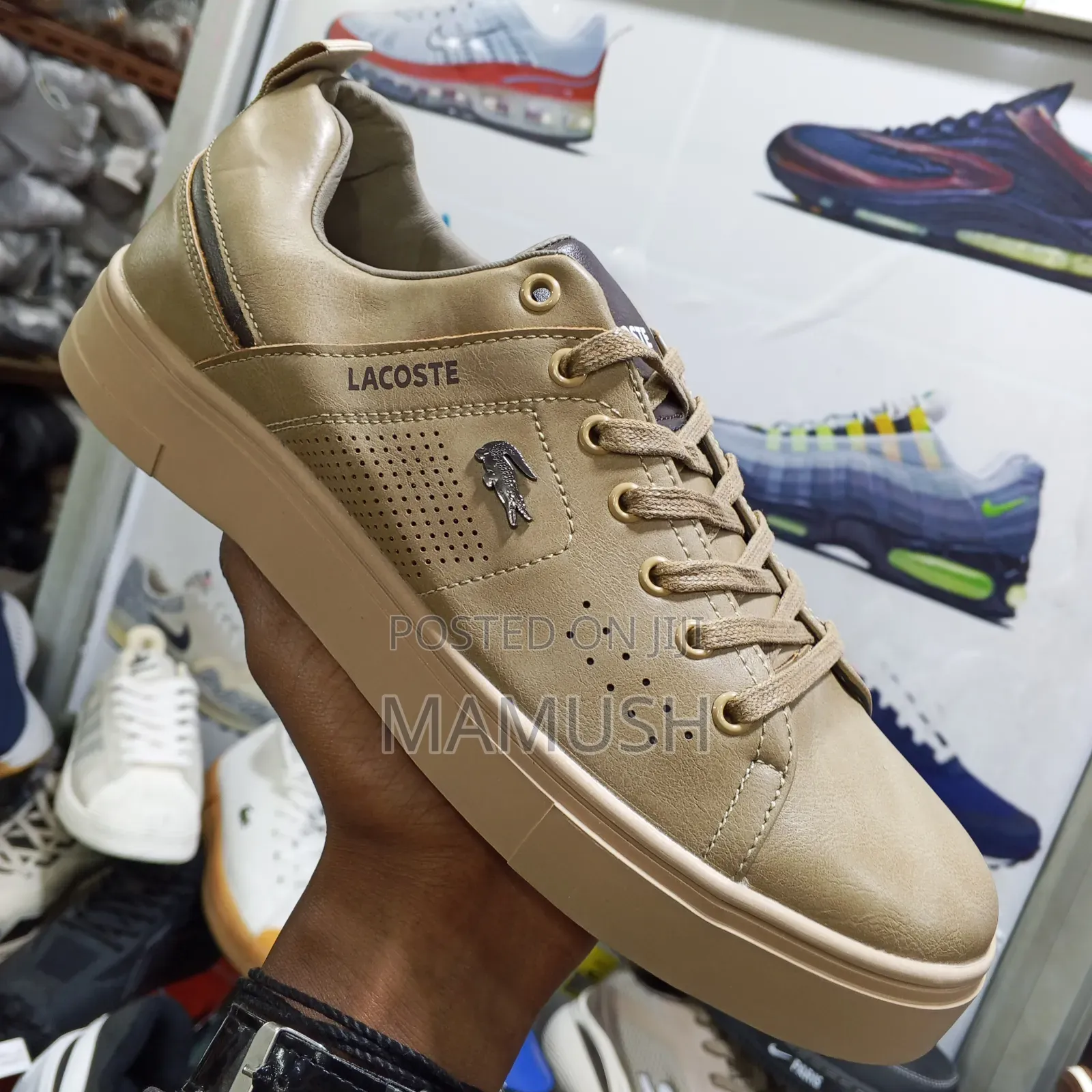 This Is Apair of Multicolor Lacoste Leather Snickers With a White Sole