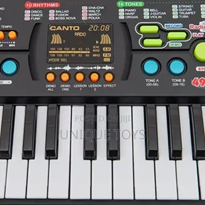 Canto 49-Key Electronic Keyboard – With Mic Built-in Radio