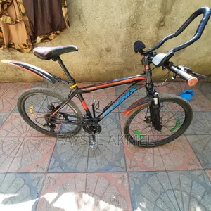 Phonix Bike