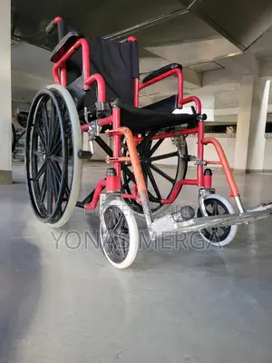 Self-Propelling Wheelchairs匠鄒equipped Rear Wheel Lock密飆wheelchair