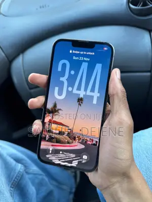 Apple iPhone 13 Pro Max 256 GB Gray