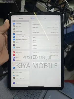 Apple iPad Air 256 GB Gray