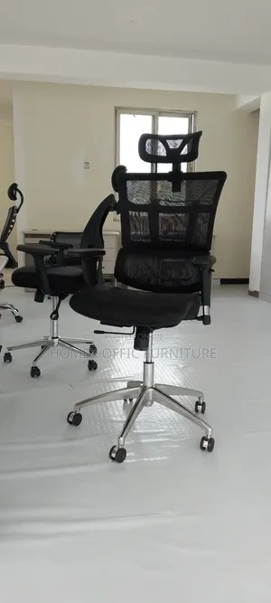 Photo - Luxury Ergonomic Manager Chair – Mesh Back Headrest